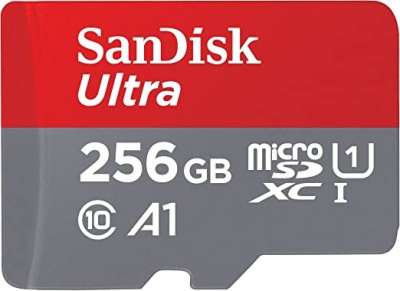 SanDisk 256GB Micro SDCard