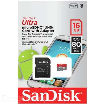SanDisk 16GB Micro SDCard